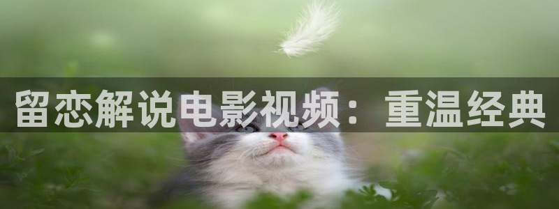 新闻图片