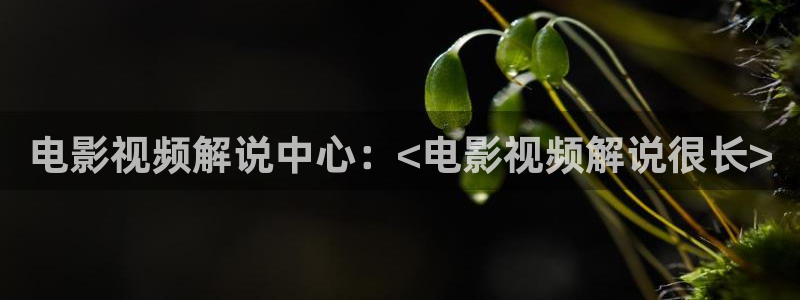 新闻图片