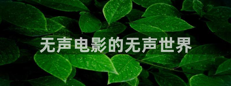 秋霞的伦理片
