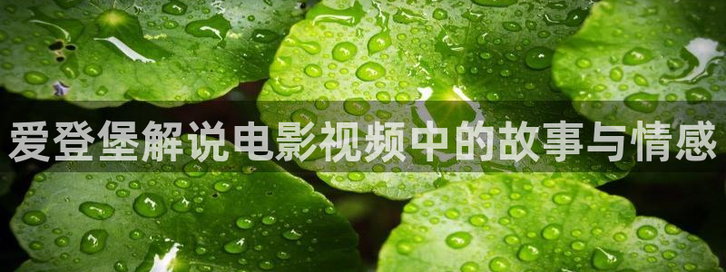 秋霞免费影院在线观看